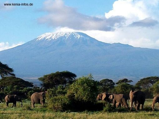 kenia 037