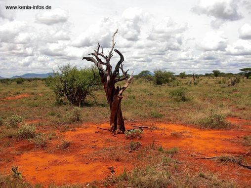 kenia 053