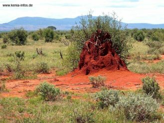 kenia 054