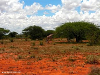 kenia 061