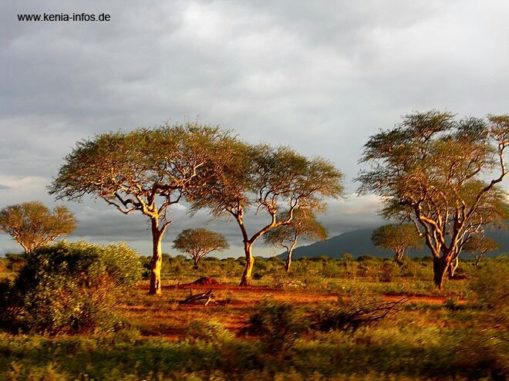 kenia 075